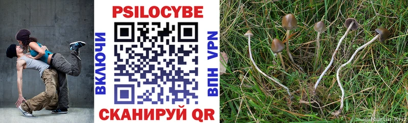 Купить закладки  Западная Двина  Псилоцибиновые грибы мухоморы 