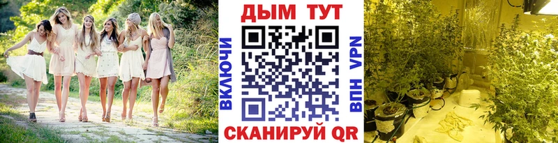 Канабис тримм  Купить закладки  Западная Двина 